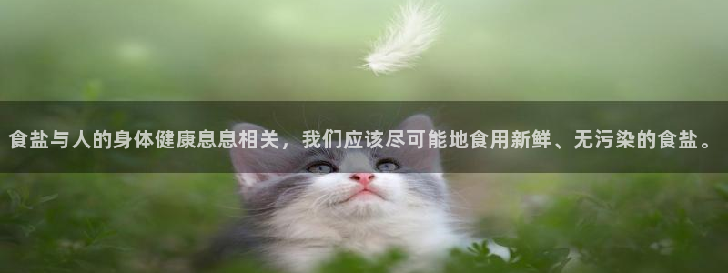 威九国际旗下艺人