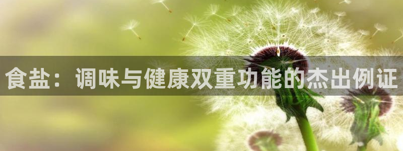 威九国际空降服务怎么样