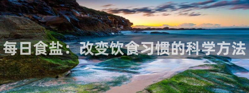 威九国际官网登录入口网址