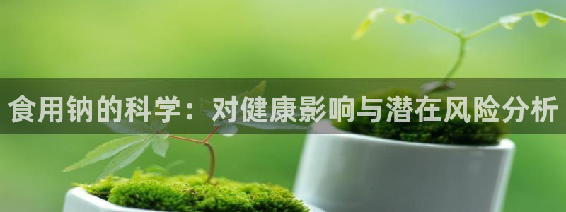 威九国际理论片最经典十首歌曲