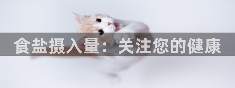 威九国际人民网招聘