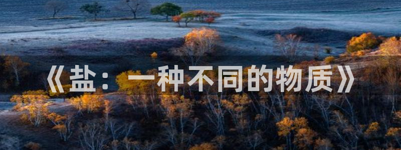 威九国际网站客服电话多少号码