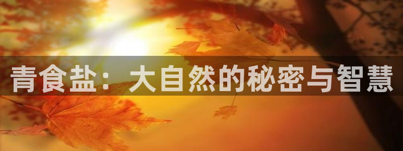 威九国际官网登录入口网站