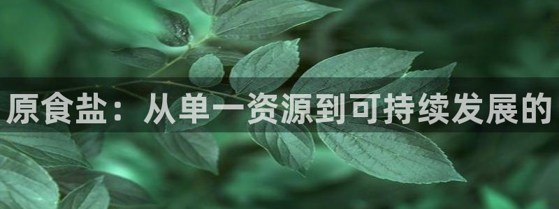 威九国际ppt免费