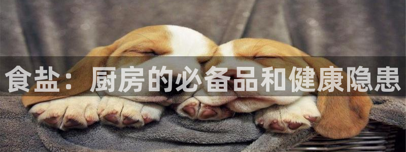 威九国际78mb特点