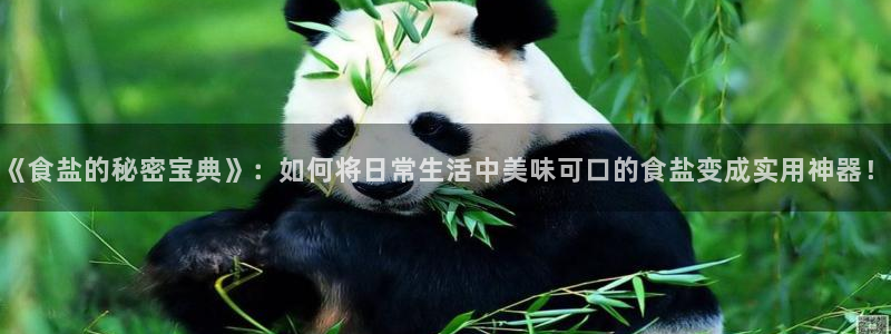 威九国际网站入口官网首页登录