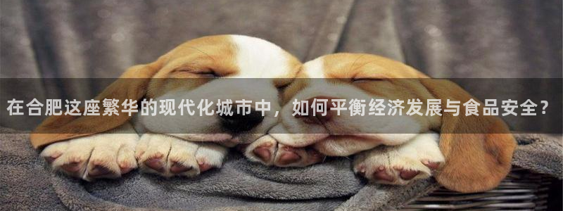 威九国际78m小说