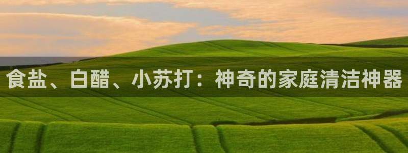 威九国际安全吗