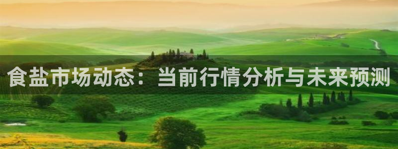 威九国际地址：食盐市场动态：当前行情分析与未来预测