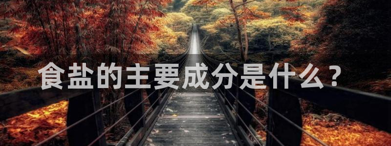 威九国际父亲的友人