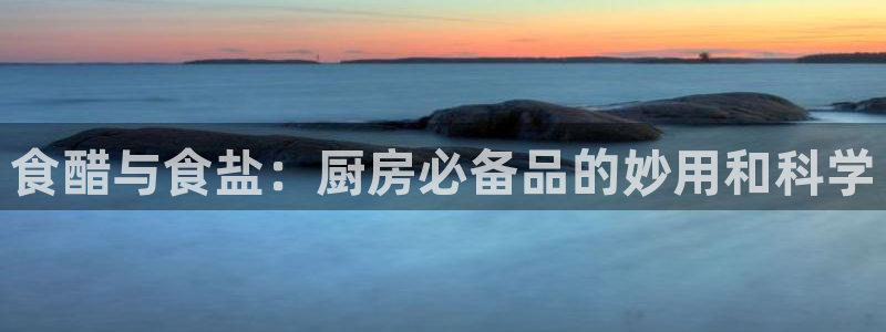 威九国际演员表