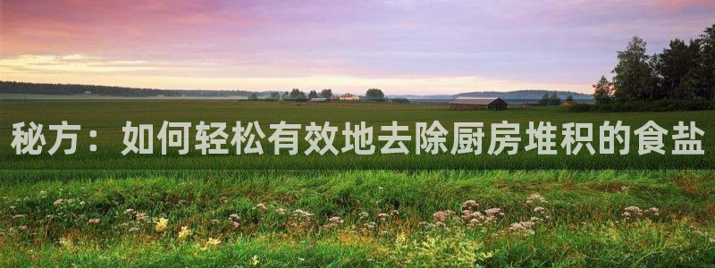 威九国际app网站官网