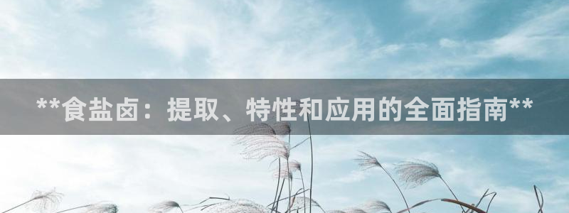 威九国际app网站官网