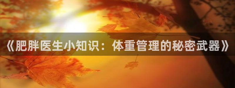 菠萝包小说app