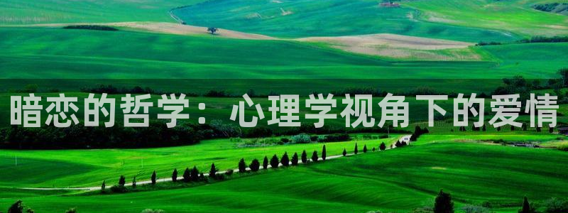 菠萝包小说免费下载