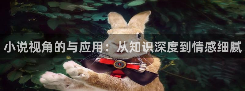 菠萝包小说免费：小说视角的与应用：从知识深度到情感细腻