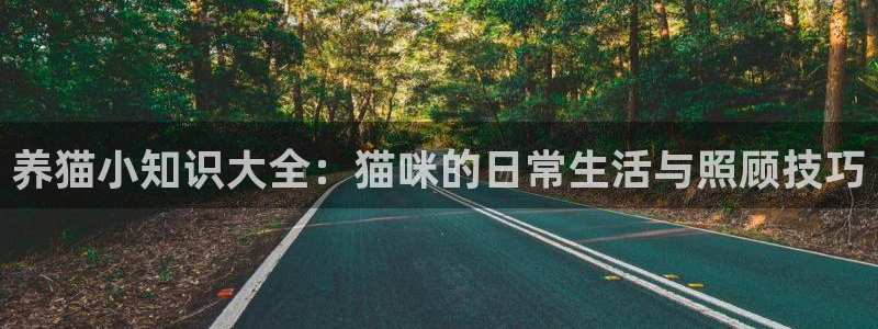 菠萝包轻小说有声小说