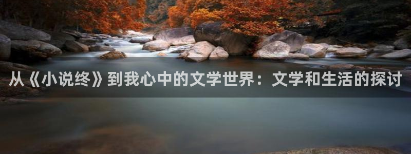 轻菠萝包小说：从《小说终》到我心中的文学世界：文学和生活的探讨